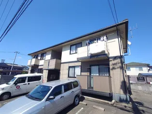 ハイカムール高橋Bの画像