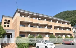 ベラヴィスタの画像