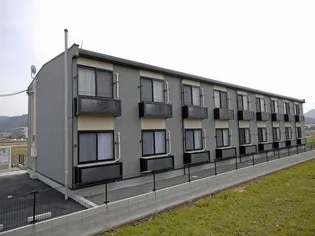 レオパレスカワミナミ【202号室】の外観