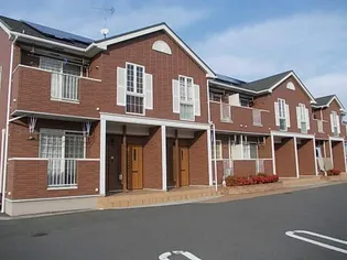 プリムローズの画像