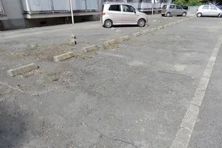 ビレッジハウス富岡1号棟【0407号室】の内装