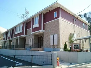 ネイチャーグリーンの画像