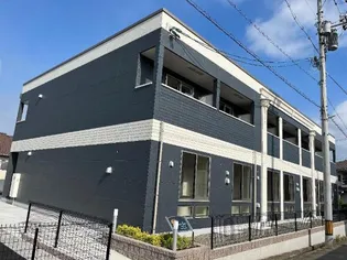 サラ グレイスの画像