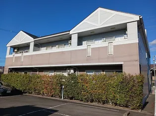 ブランドールの画像