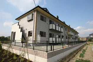 サニー ヴィオラの画像