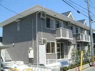 つきみそうの画像