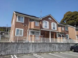 ミルクベッチ Bの画像