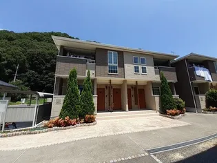 アプリコット Cの画像