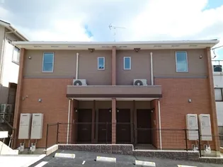 ソフトリーの画像