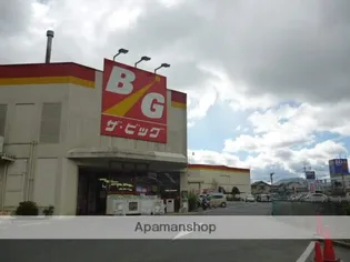 MMSシャトー B棟【101号室】の周辺