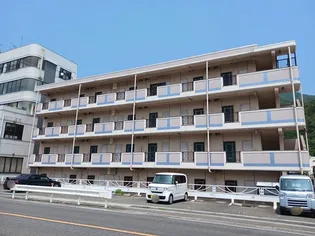 サンフラワーの画像