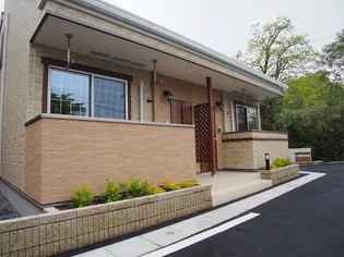 ヴィオラの画像