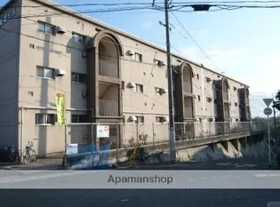 サウスバードの画像