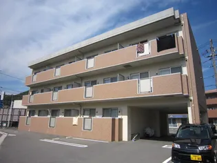 ラ コスモスの画像