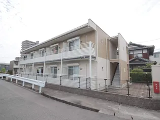 レオネクストファンシーの画像
