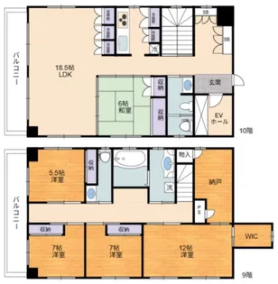 グランメール【10階】の間取り
