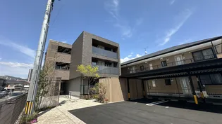 VIOLA FURUICHIの画像