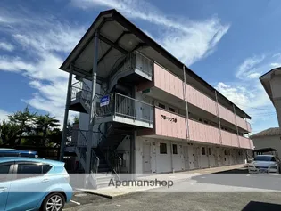 フローレンス椿の画像