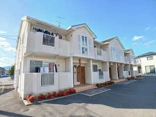 メリッサIIの画像