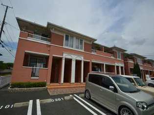 リトル ノアAの画像