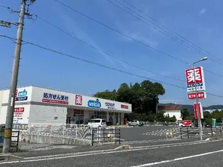 コーセー飯田【1階】の周辺