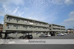 アンビエンテの画像