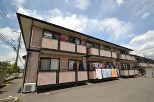 ウィステリアIIの画像