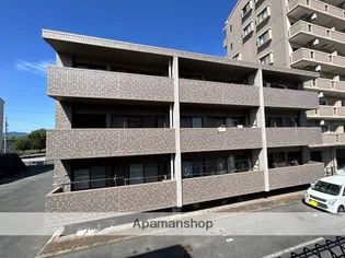 ウィステリアブロッサムの画像