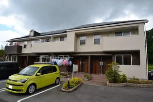 ヴィオラメゾンIIの画像