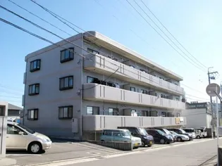 ハイビスカスAの画像