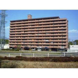 ダイアパレスリバーコート古市【707号室】の外観