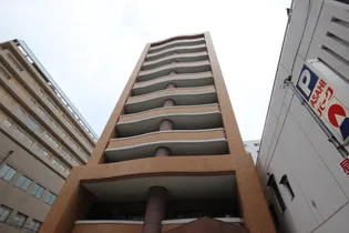 ダイアパレスグランドール四番街大手町【10階】の外観