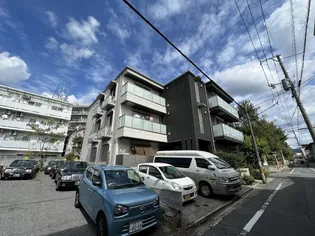 フェデリオ曙の画像