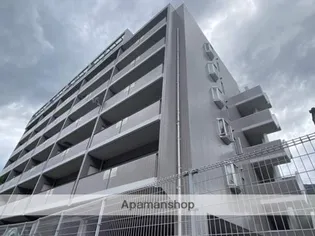 SS八木ハイツ【5階】の外観