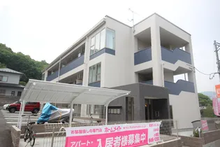 エバーグリーンの画像