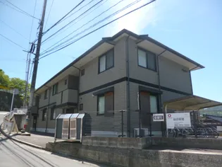 チャイブの画像