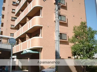 グランヴェルジェ中須Ⅱ【5階】の外観