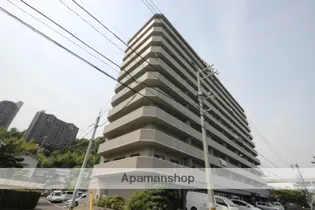 ロイヤル竜王の画像