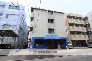 ファビス楠木の画像