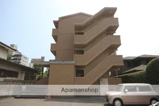 センチュリーコートの画像