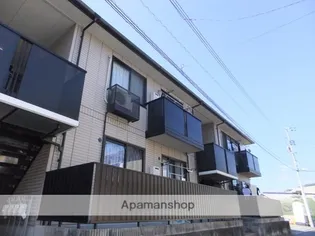 エーデルワイスの画像