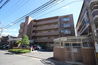 メゾンY古江の画像