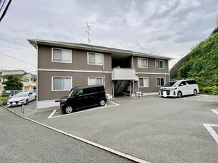 シャルムM Yの画像