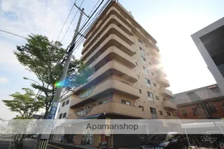 ベラ福本の画像