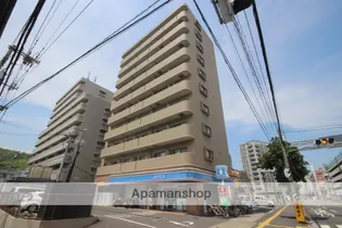 西広島ビレッジ【10階】の外観