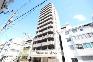 セントヒルズ住吉レジデンス【11階】の外観