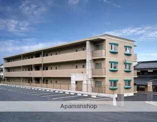 ステラカーサの画像