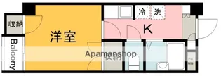 グレース国泰寺【303号室】の間取り