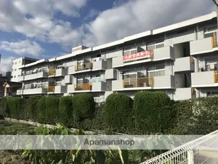 南観音プラウズの画像