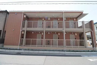 メインクーンの画像